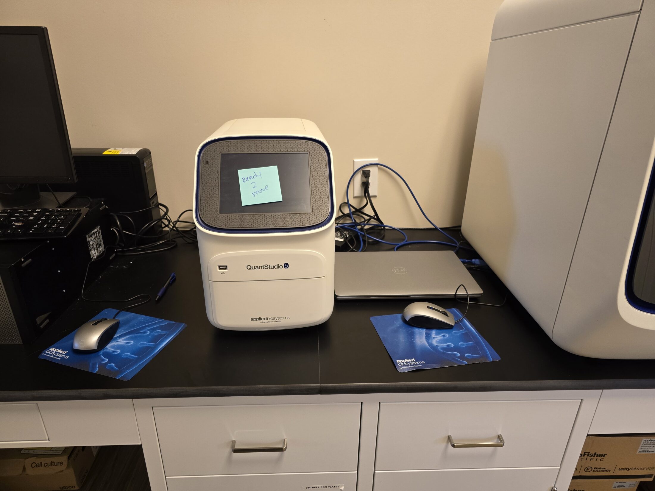 Thermo Quantstudio Real Time Pcr System Arc Scientific