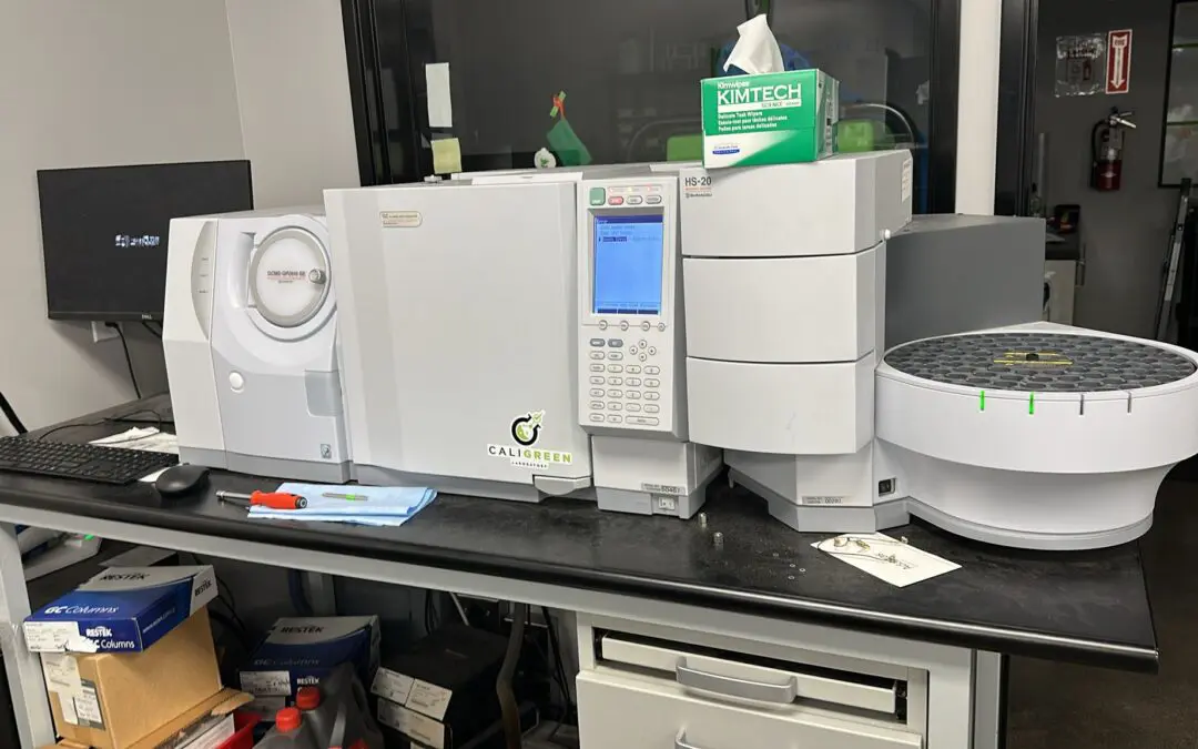 Shimadzu GCMS-QP2010 SE