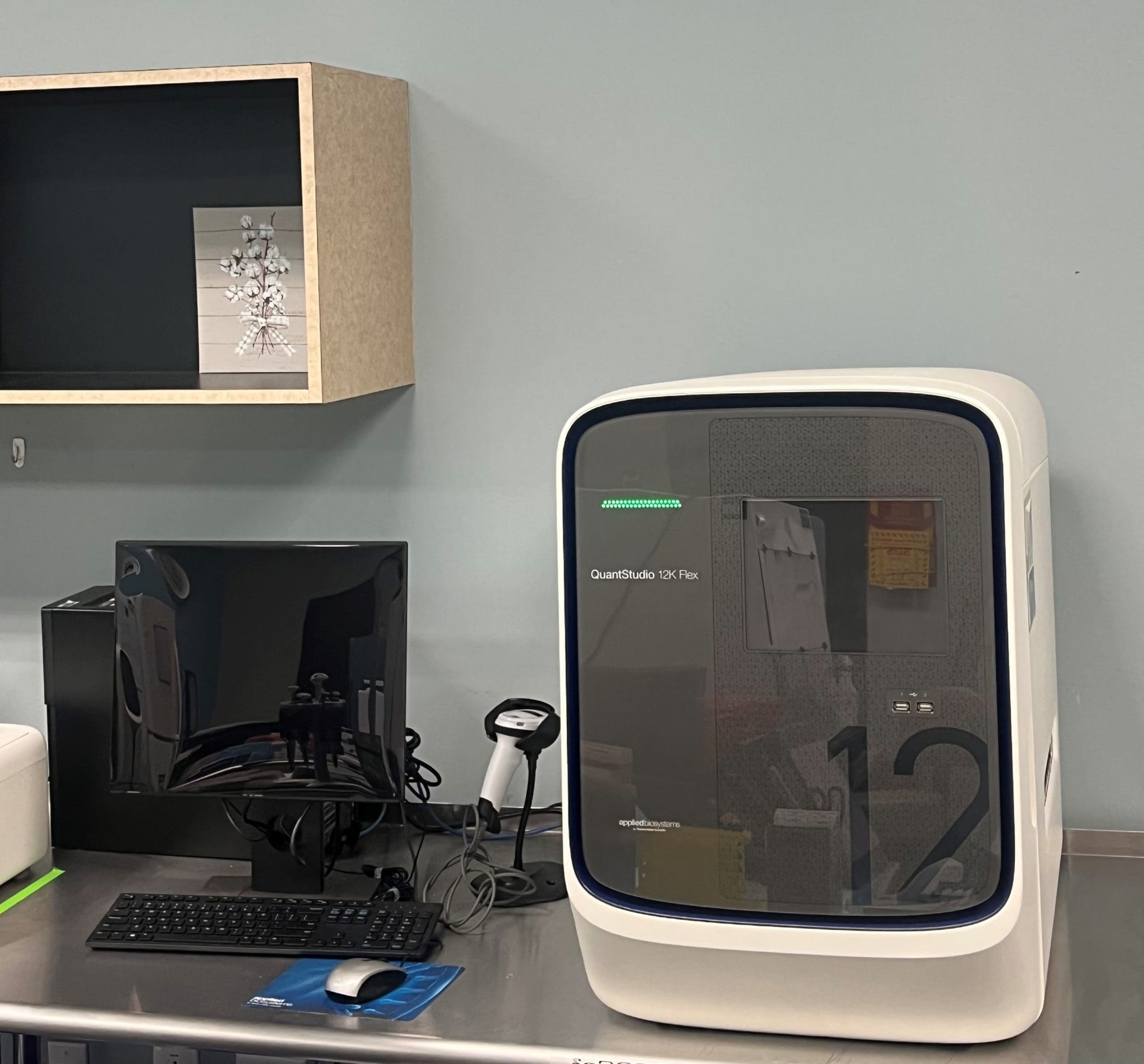 Real Time Pcr System Malfunction: Alinity M Under Scrutiny - eb3kx0f