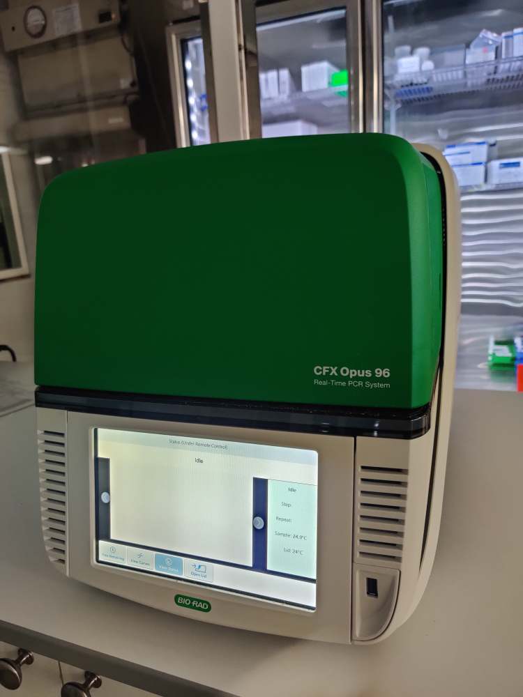 Bio-Rad CFX Opus 96 Real-Time PCR System - Arc Scientific